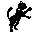 petrapixel